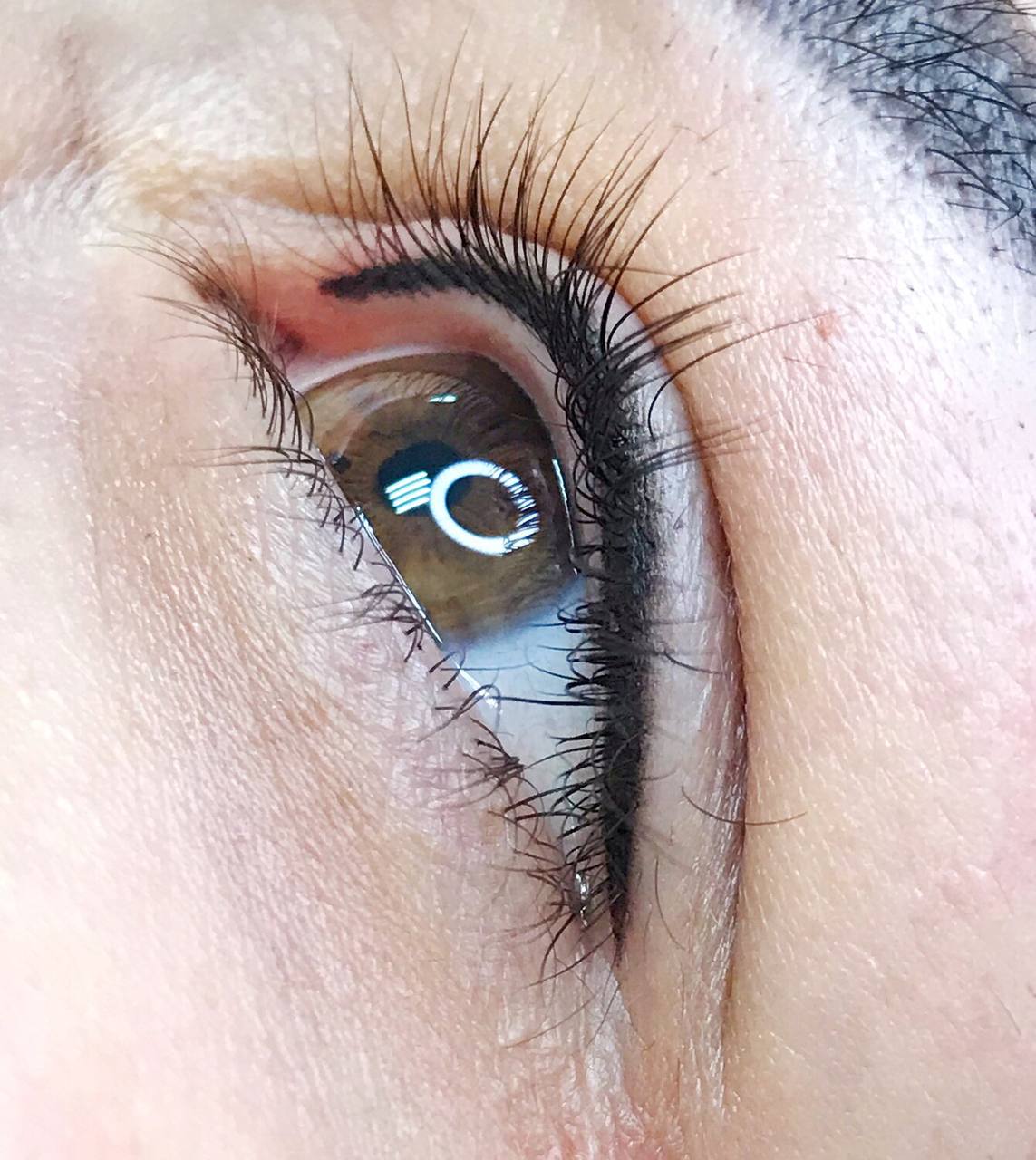 4-6 weeks Lash-line Touch-Up